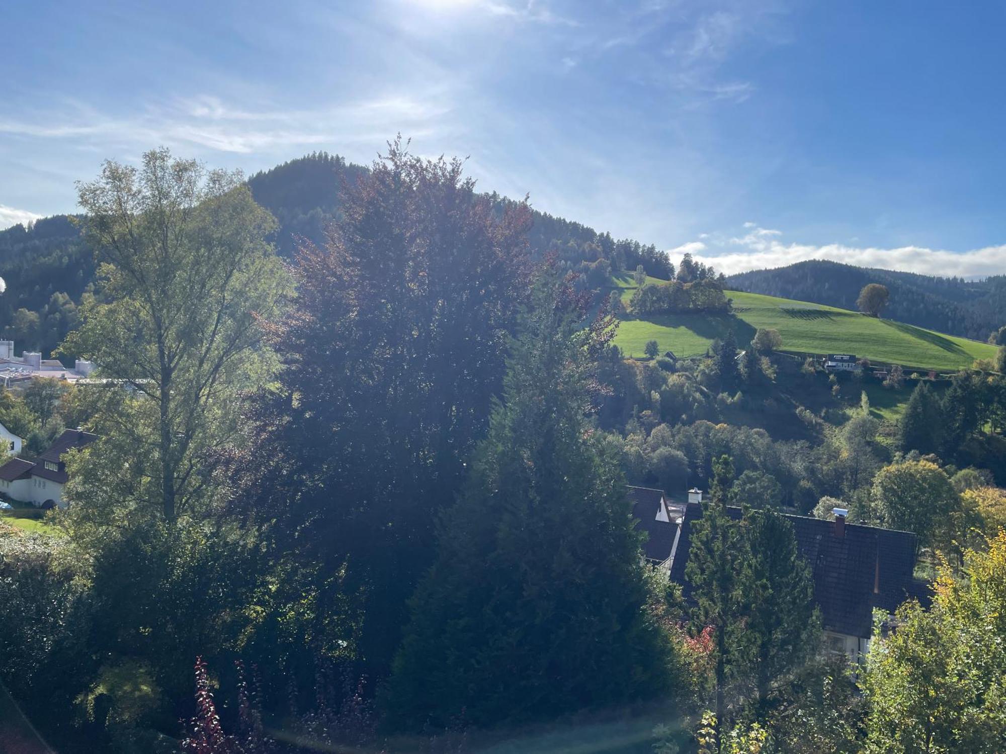 B&B Apart Hotel Goldener Hahn - Nahe An Gartenschau Tal X ไบเออร์สบรอนน์ ห้อง รูปภาพ